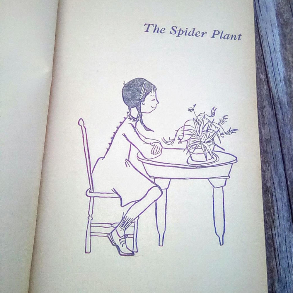 Vintage 1969 The Spider Plant Book by Yetta Speevack - Paperback - Picture 5 of 7